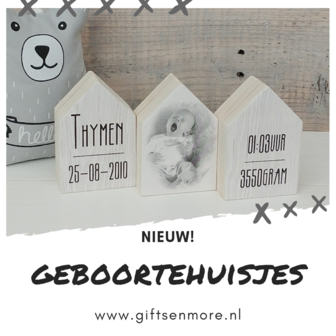 Geboortehuisjes set